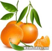 鲜桔子叶的功效,橘子叶有什么作用?橘子叶的功效与作用