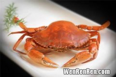 黄油蟹产地在哪里,黄油蟹什么季节吃最好 黄油蟹几月吃最好