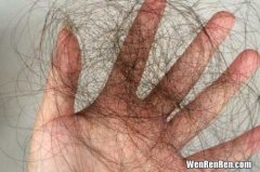 跳蚤怕水吗,水洗能洗死吗,跳蚤是洗衣机也洗不死吗 跳蚤是不是洗衣机也洗不死