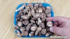 香菇最多泡几个小时,香茹需要泡多久