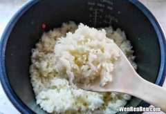 焖米饭需要多久,蒸米饭一般需要多长时间？