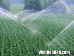水除了灌溉田地还有什么作用,水有什么作用