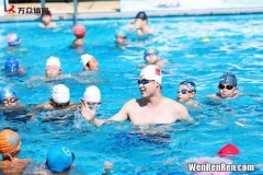 游泳比赛共有多少种游泳姿势,奥运会游泳比赛一共有几种泳姿