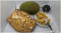 菠萝蜜放10天了还是硬的,我们家里买的菠萝蜜客服说要封三四天才熟，可我封了一个星期了，为什么还没有软？还没有露出香味是没熟？