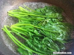 菠菜焯水多久去除草酸,如何去除菠菜中的草酸？