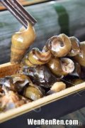 山坑石螺的功效与作用,石螺吃什么东西的？