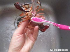 洗龙虾放什么洗干净,龙虾好吃，但清洗比较麻烦，怎么洗才能简单又干净？