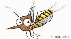 蚊子最高能飞到几楼,蚊子能飞到几层楼高