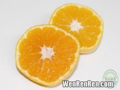 橘子和桔子的区别是什么,桔子和橘子的区别是什么