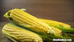 生玉米常温下能放几天,生玉米粒能放多久？