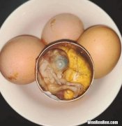活珠子是什么,什么是活珠子鸡蛋