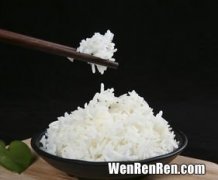 托盘蒸米饭怎么看水加多少,如何蒸米饭 水的比例