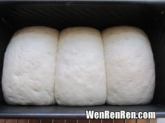 面包粉可以蒸馒头用吗,面包粉能做馒头吗？