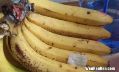 为何香蕉挂着不易坏,香蕉为什么要挂着放？