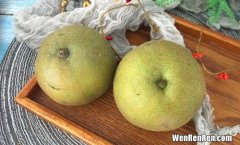 梨的外形特点和味道,梨的特征是怎么样的？