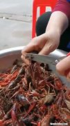 龙虾的清理方法,龙虾怎么清理才能干净
