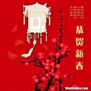 春节的价值和象征意义,春节的美好寓意和意义