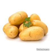 土豆和马铃薯一样吗,马铃薯和土豆的区别是什么？