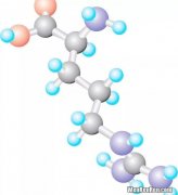 含硫的氨基酸,含硫氨基酸包括哪些