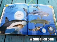 海上交通与陆上交通相比,明显的优势有,陆上运输与海上运输的优势各是什么