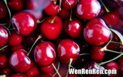 本土樱桃和车厘子有什么区别,樱桃和车厘子的区别是什么?