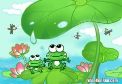 青蛙的特点和本领,青蛙的本领主要有什么？