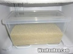 大米是放冰箱冷冻还是放冷藏,大米放冰箱冷冻还是冷藏