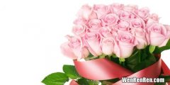 十八朵粉色玫瑰代表什么意思,十八朵粉玫瑰是什么意思