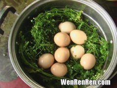 地菜煮鸡蛋还要放什么,荠菜煮鸡蛋怎么做好吃?荠菜煮鸡蛋的做法大全